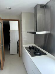 Park Infinia At Wee Nam (D11), Condominium #501931651